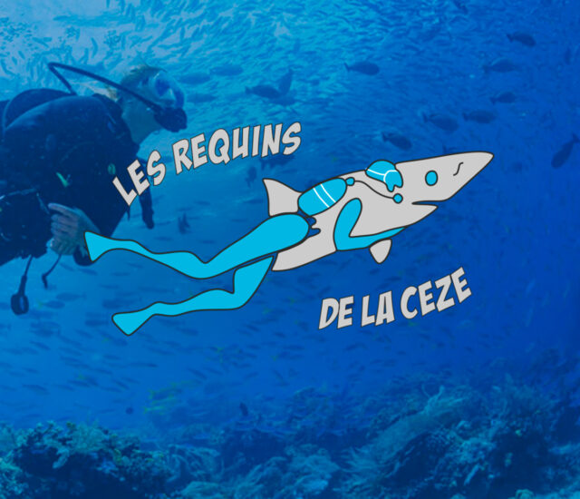 Requins de la cèze